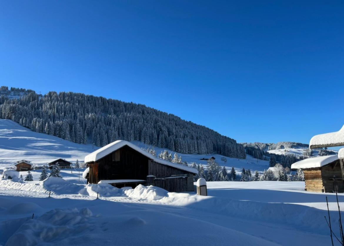 Le Chalet Du Cret - 8 Pers, Tout Confort Avec Jacuzzi Нотр-Дам-Дьо-Белкомб Екстериор снимка